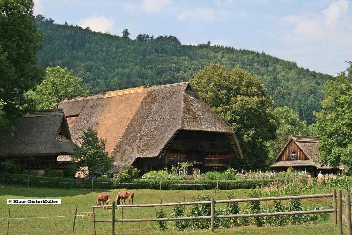 Haus am Waldrand Villa Triberg im Schwarzwald Bagian luar foto