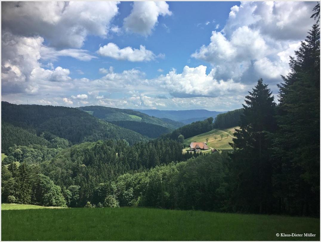 Haus am Waldrand Villa Triberg im Schwarzwald Bagian luar foto