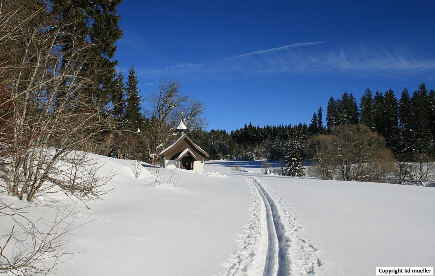 Haus am Waldrand Villa Triberg im Schwarzwald Bagian luar foto