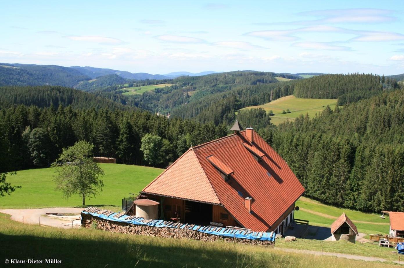 Haus am Waldrand Villa Triberg im Schwarzwald Bagian luar foto