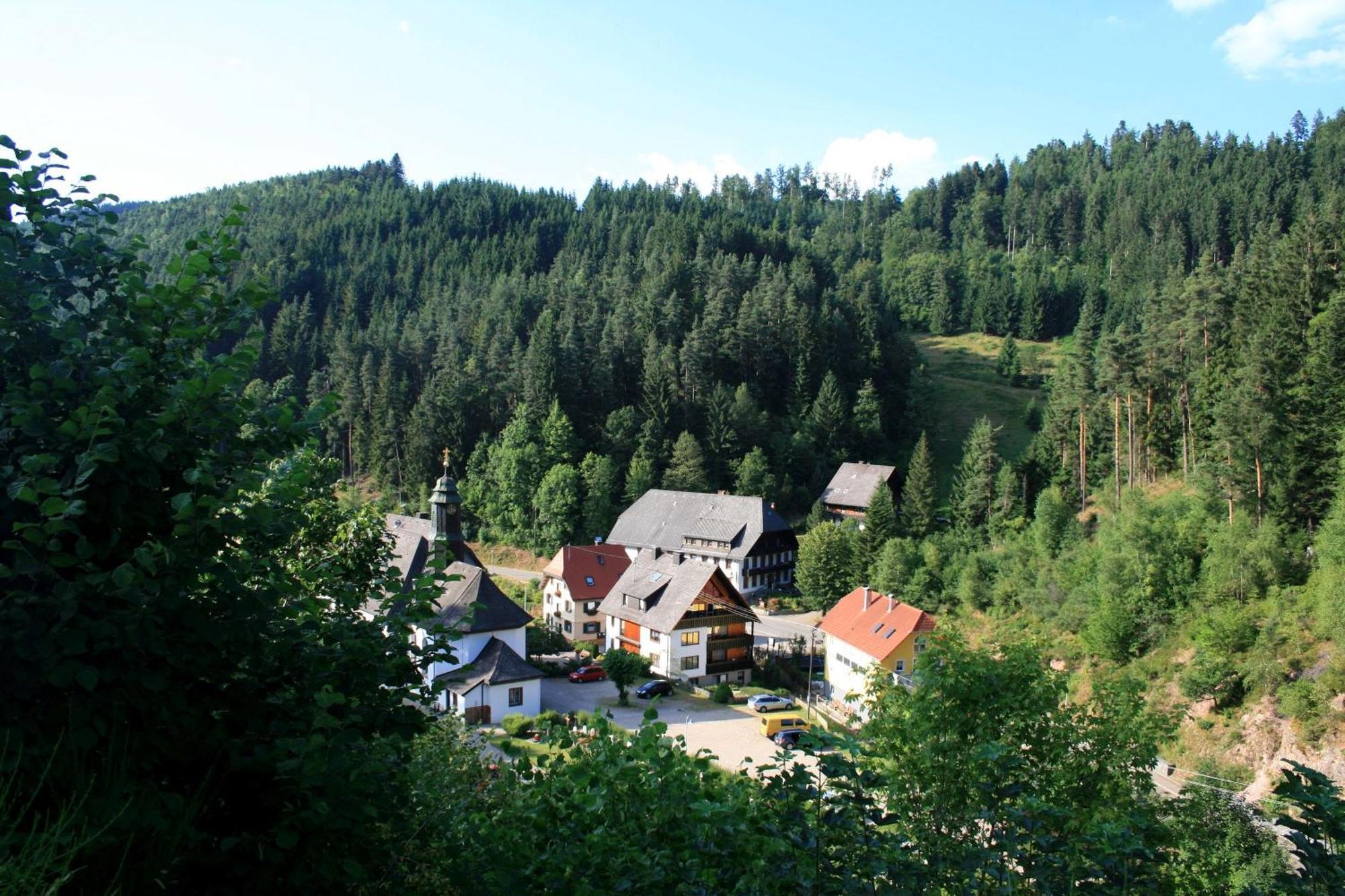 Haus am Waldrand Villa Triberg im Schwarzwald Bagian luar foto