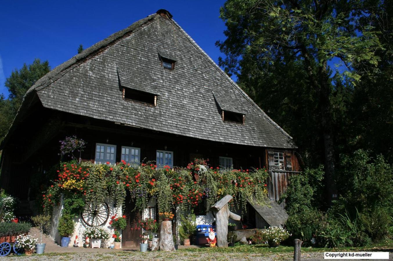 Haus am Waldrand Villa Triberg im Schwarzwald Bagian luar foto