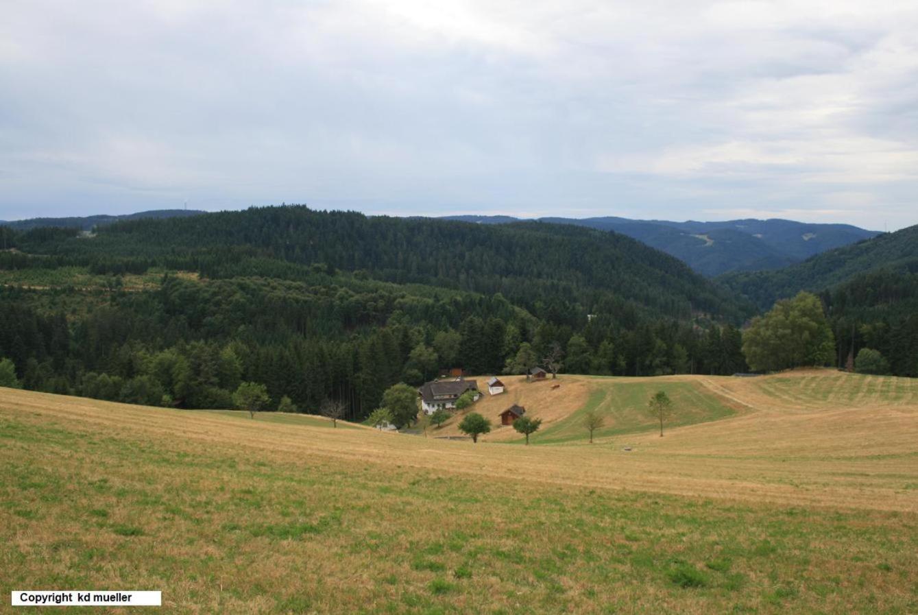 Haus am Waldrand Villa Triberg im Schwarzwald Bagian luar foto