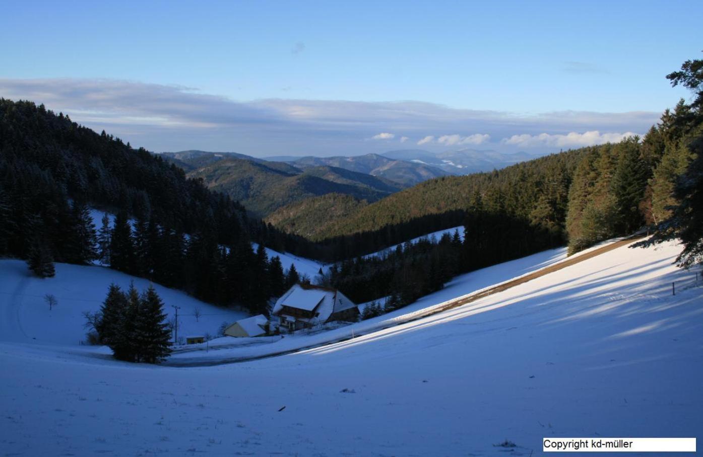Haus am Waldrand Villa Triberg im Schwarzwald Bagian luar foto