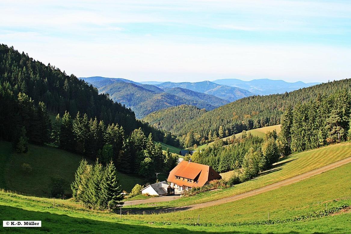 Haus am Waldrand Villa Triberg im Schwarzwald Bagian luar foto