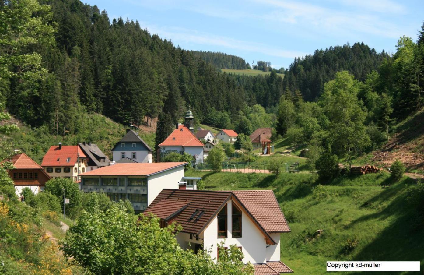 Haus am Waldrand Villa Triberg im Schwarzwald Bagian luar foto