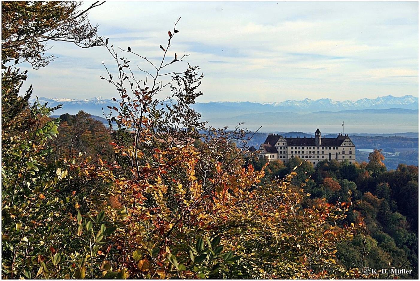 Haus am Waldrand Villa Triberg im Schwarzwald Bagian luar foto