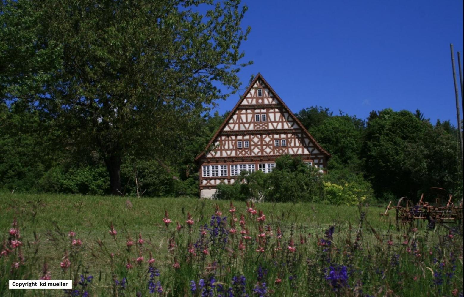 Haus am Waldrand Villa Triberg im Schwarzwald Bagian luar foto