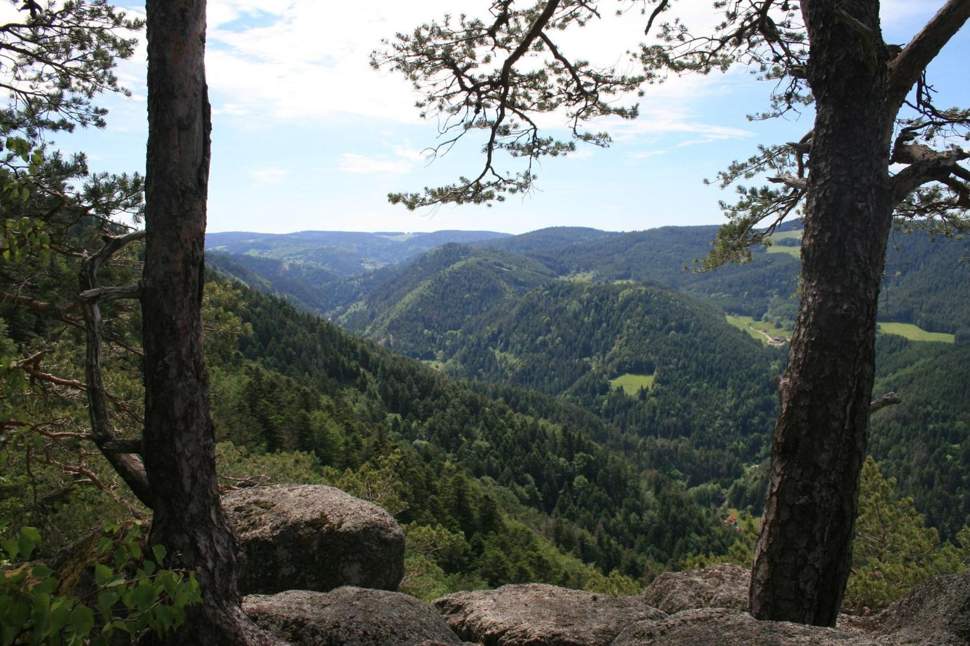 Haus am Waldrand Villa Triberg im Schwarzwald Bagian luar foto