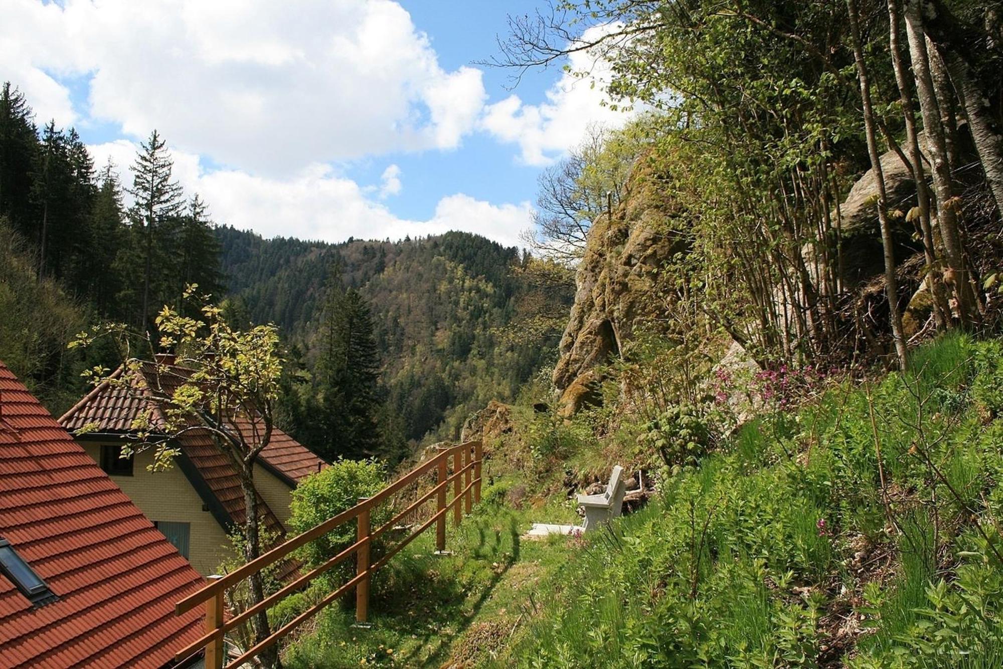 Haus am Waldrand Villa Triberg im Schwarzwald Bagian luar foto