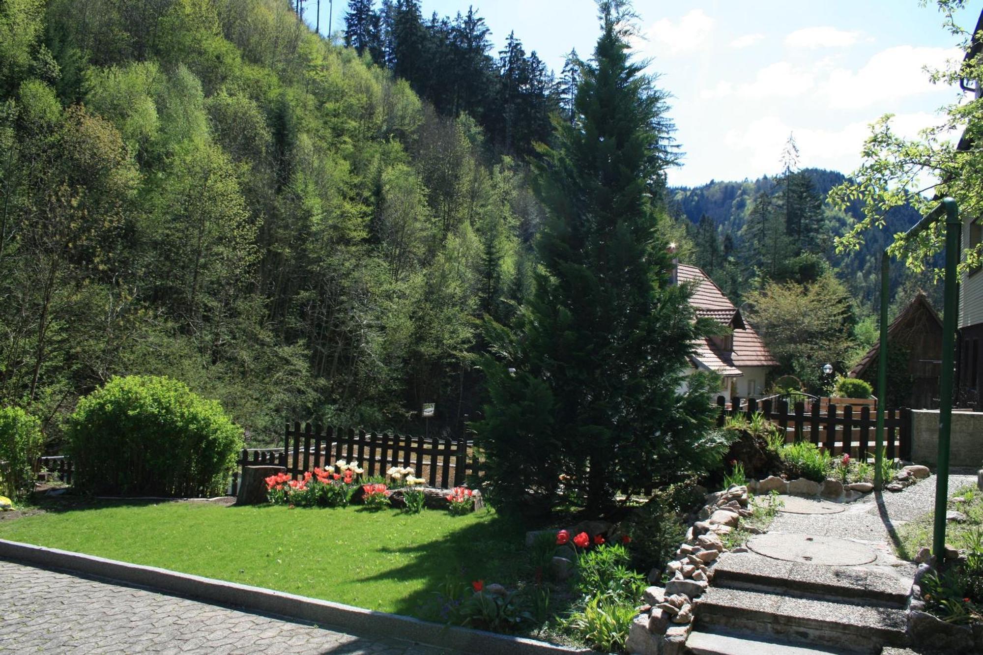 Haus am Waldrand Villa Triberg im Schwarzwald Bagian luar foto
