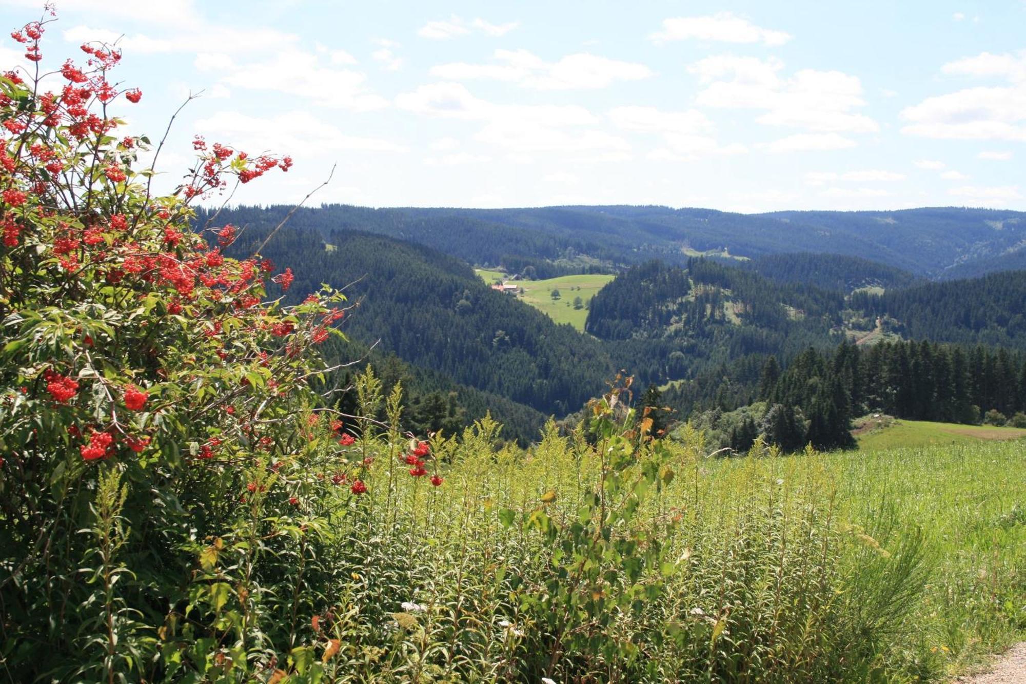 Haus am Waldrand Villa Triberg im Schwarzwald Bagian luar foto